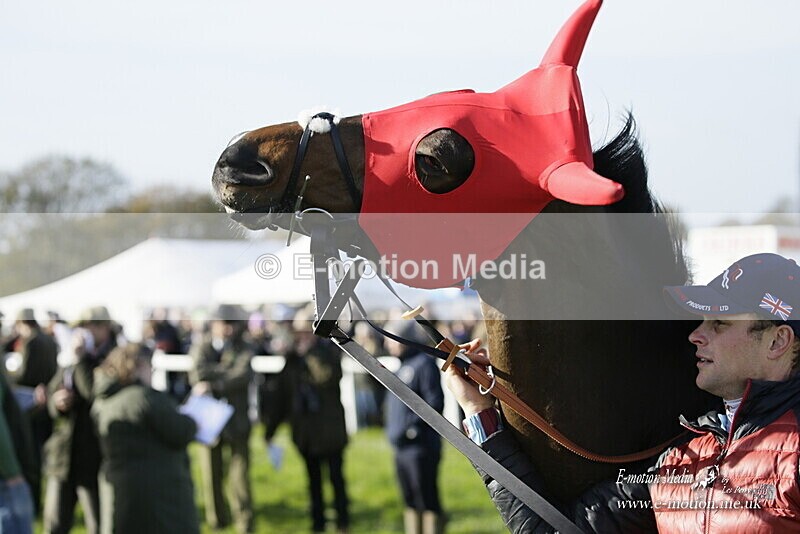 PtP 250921 097 - Point-to-Point Badbury Rings Dorset 07/11/2021