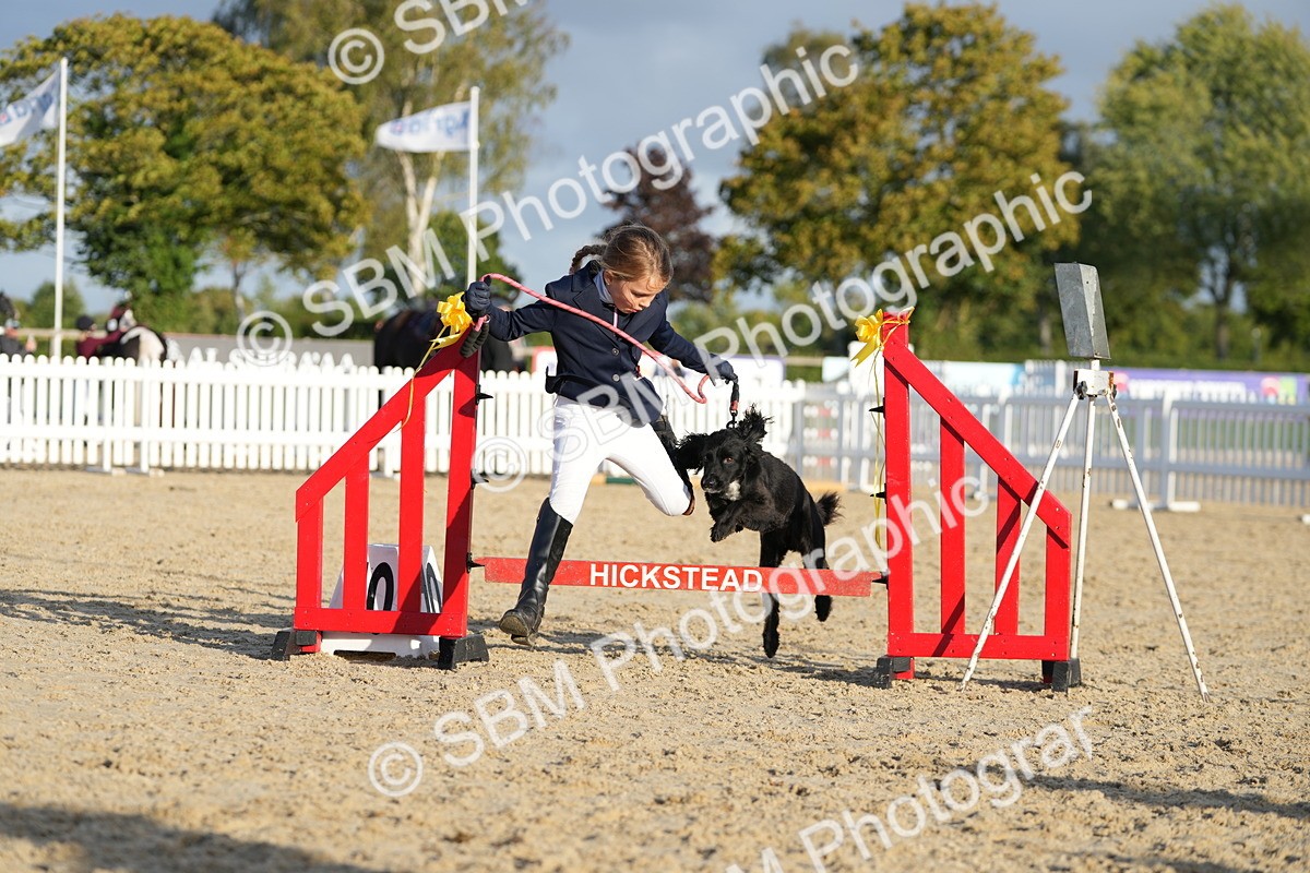 SBM_29384 - J44 - Horse & Hound Open 70cm