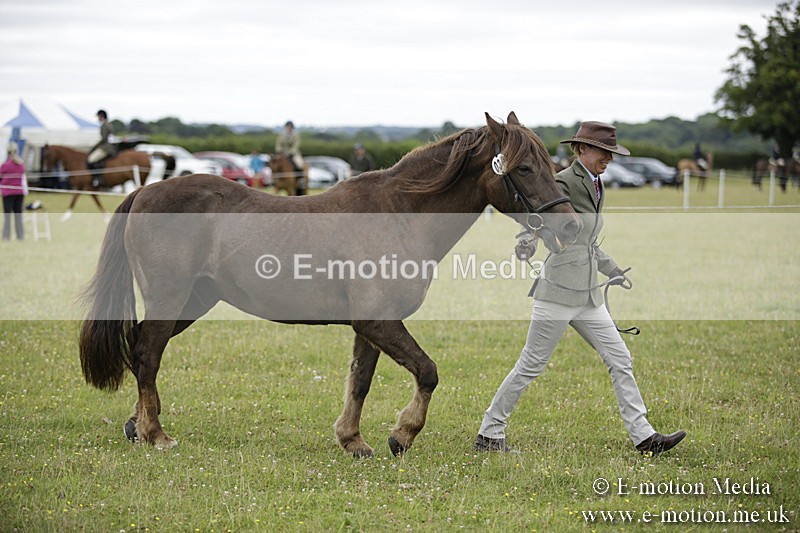 BVR160717-716 - Ring 2 BVRC Show 16/07/17