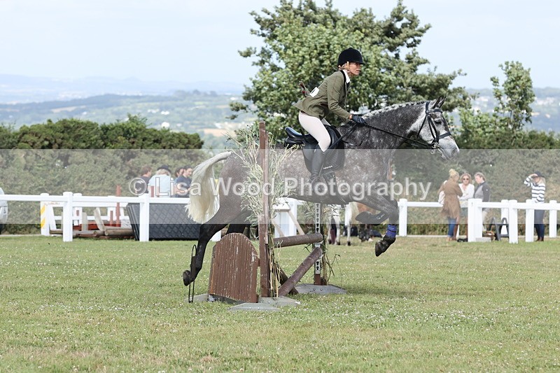 JPP_2596 - Class 20: Working Hunter 70cm