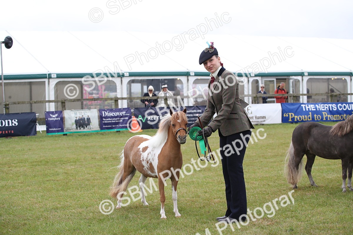 SBM_04023 - Class 23-25 - British Miniature Horse of the Year