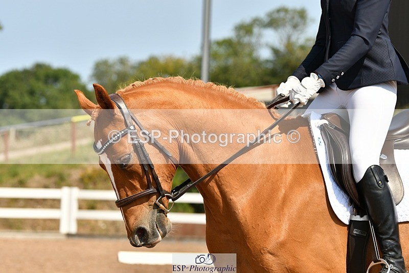 250817-124025-09678 - 155-Tamsin.OConnorRiversides.Caballero