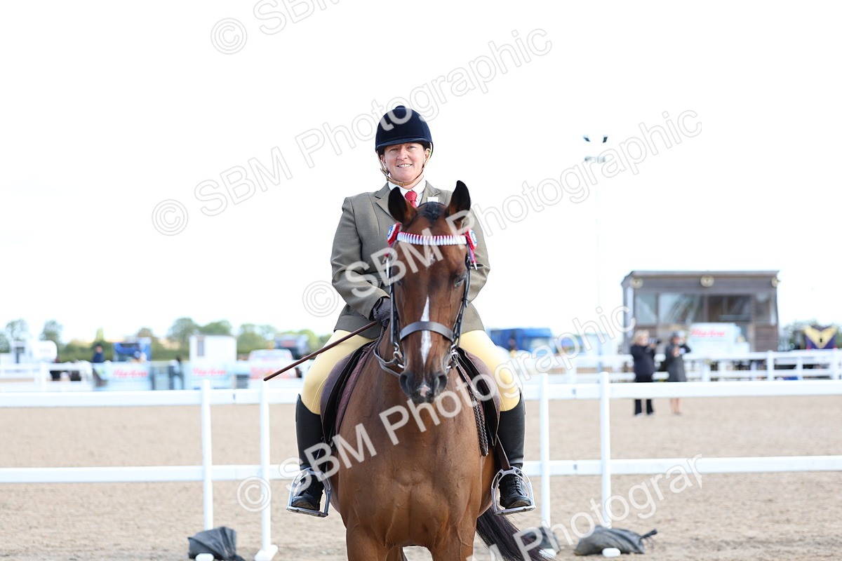 SBM_09134 - Class 303 - Ridden Pure Bred Horse Pony