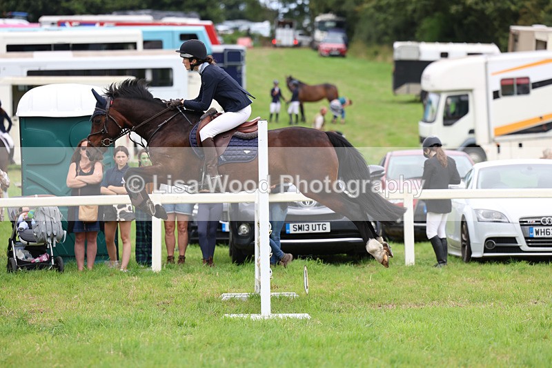 3E7A7141 - Class 5: Senior British Novice/90cm open