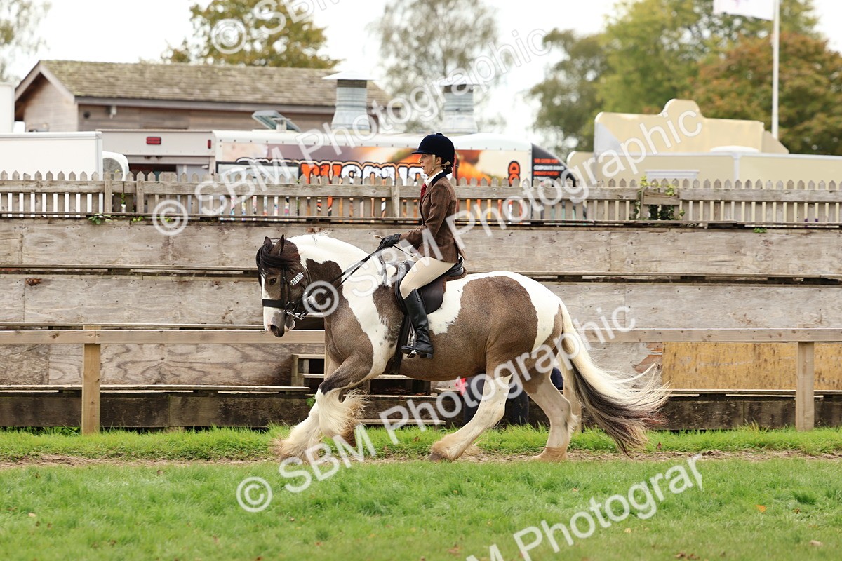 SBM_64497 - S58 - Coloured Pony Ridden