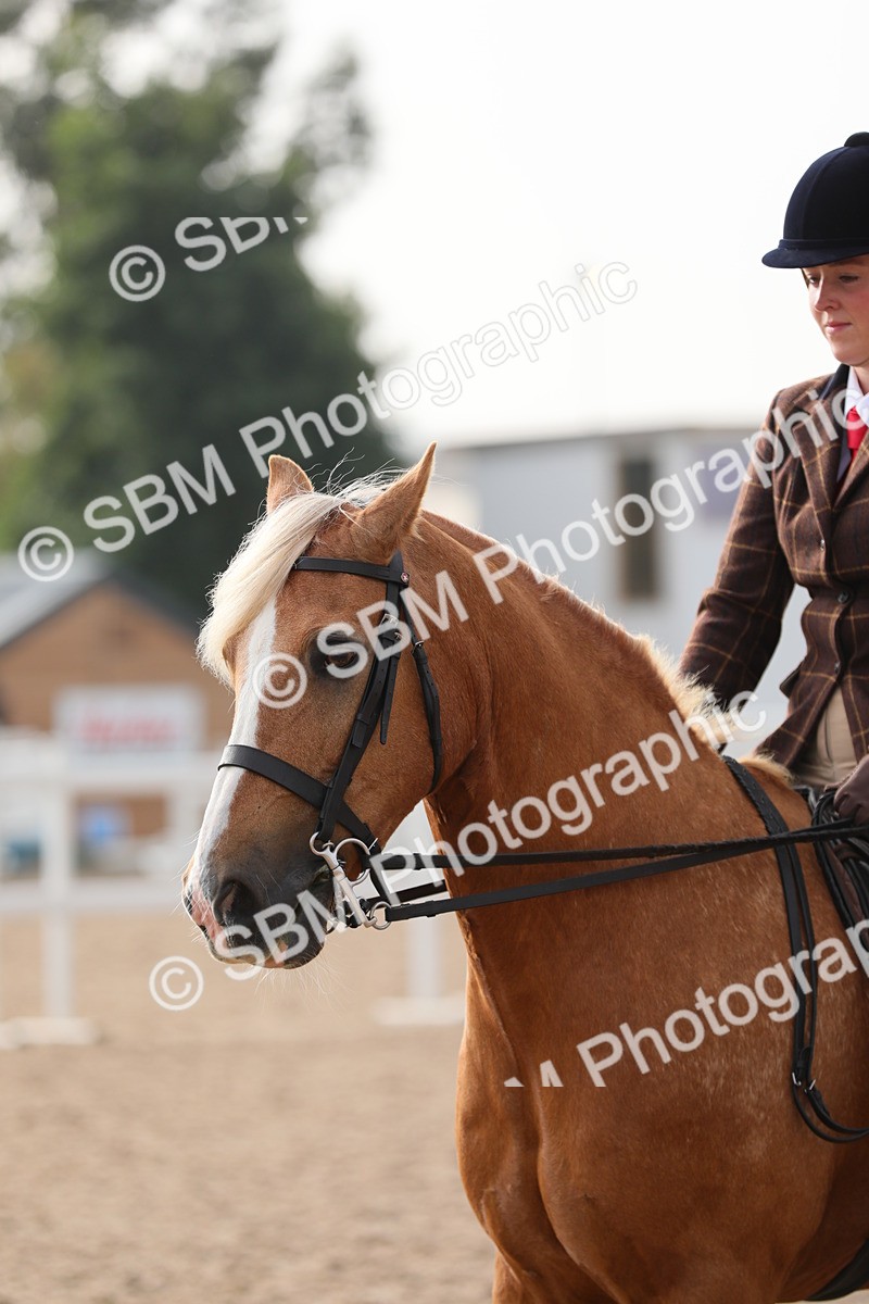 SBM_10082 - Class 302 Ridden M&M -Large Breeds