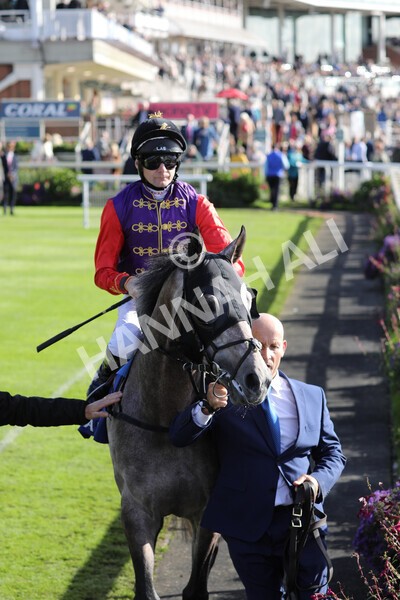 yr08102022r3-20 - Race 3 2.40pm The Coral 'Beaten-by-a-Length' Free Bet Handicap