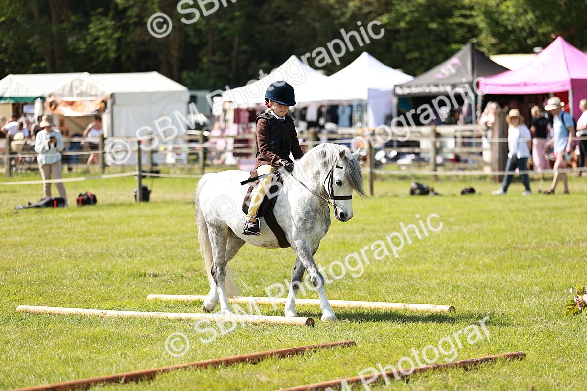 SBM_12778 - Class 106-107 - BSPS LIHS Working Sports Pony