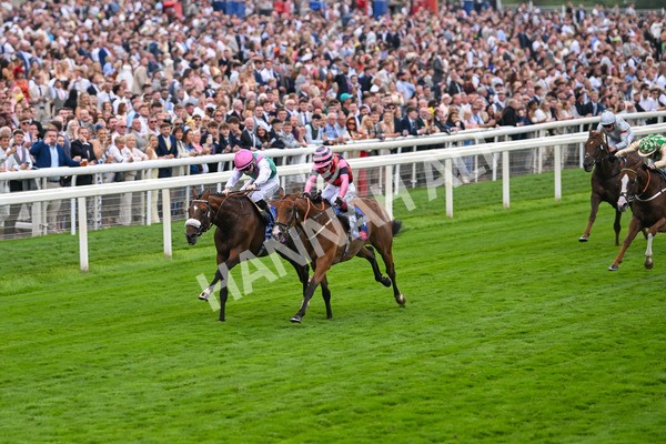 230825-Race 2-Tarriance-0004 - Race 2 2.25pm Sky Bet Melrose Handicap
