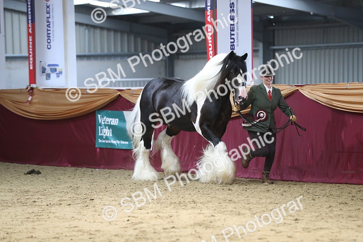 SBM_06484 - Class 9R Regional- IH Pre Vet