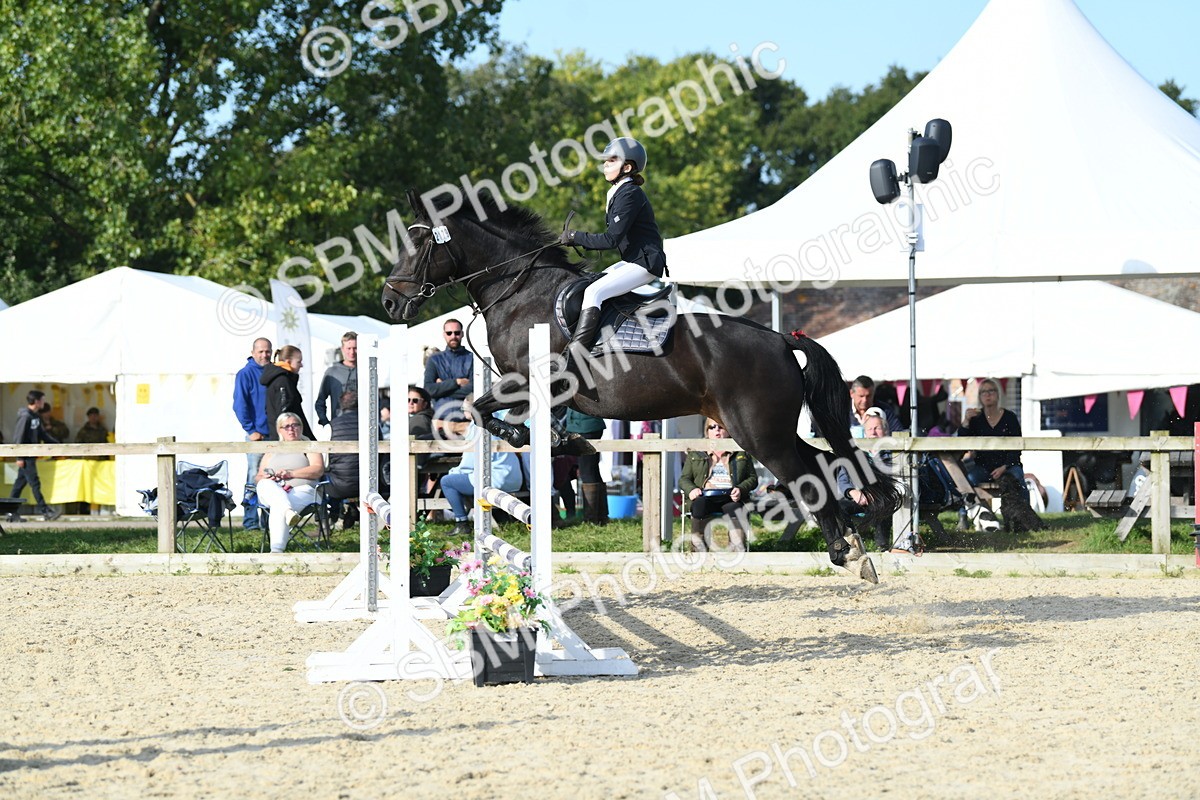SBM_60540 - j25 - Junior Horse 80cm Championship