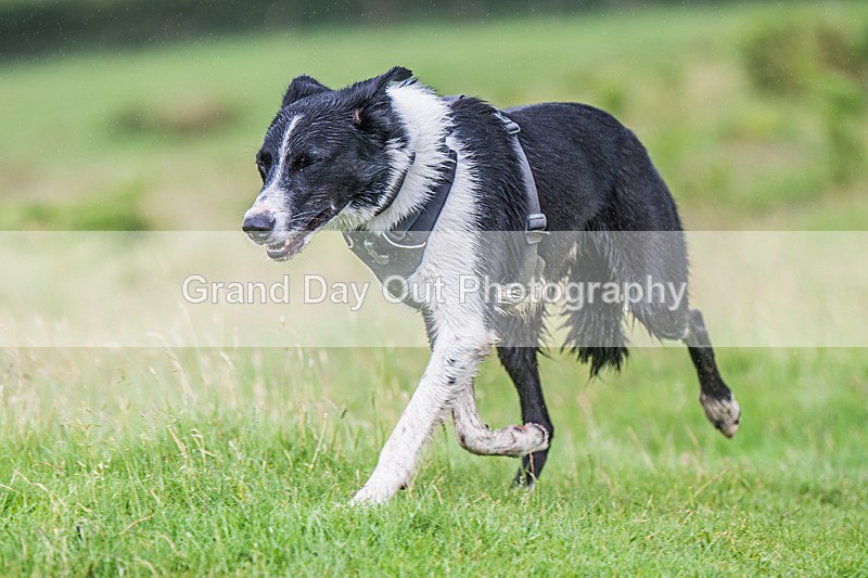 Skiddaw-1075 - Skiddaw Fell Race Sunday 6th July 2025