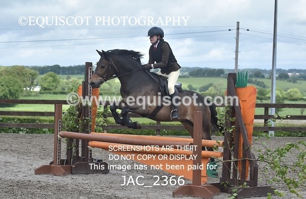 JAC_2366 - CLASS 3 Intermediate Working Hunter
