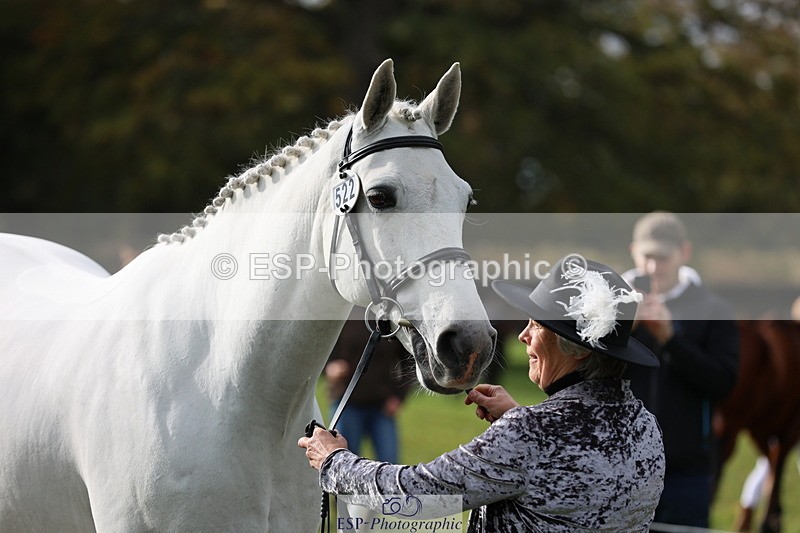251026A-120633-25892 - G-522-Sue.Parkes Inc Trot Up