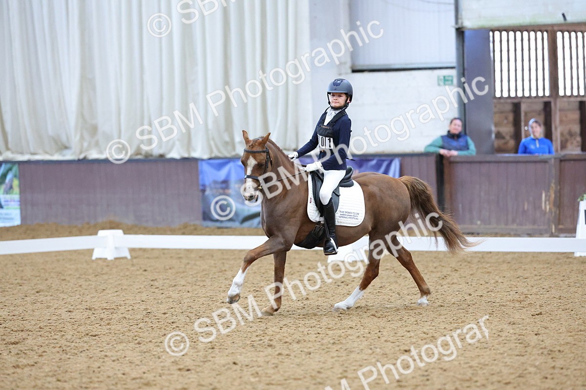 SBM_003673 - Novice