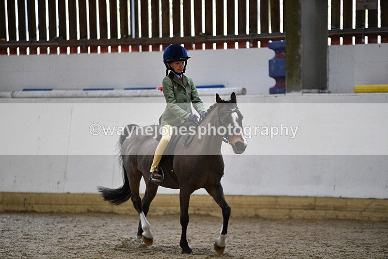 WJ5_6841 - Class 10 Childs Pony