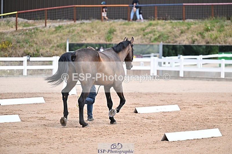 250716-130714-00344 - Trot Up 12.30 to 1.30