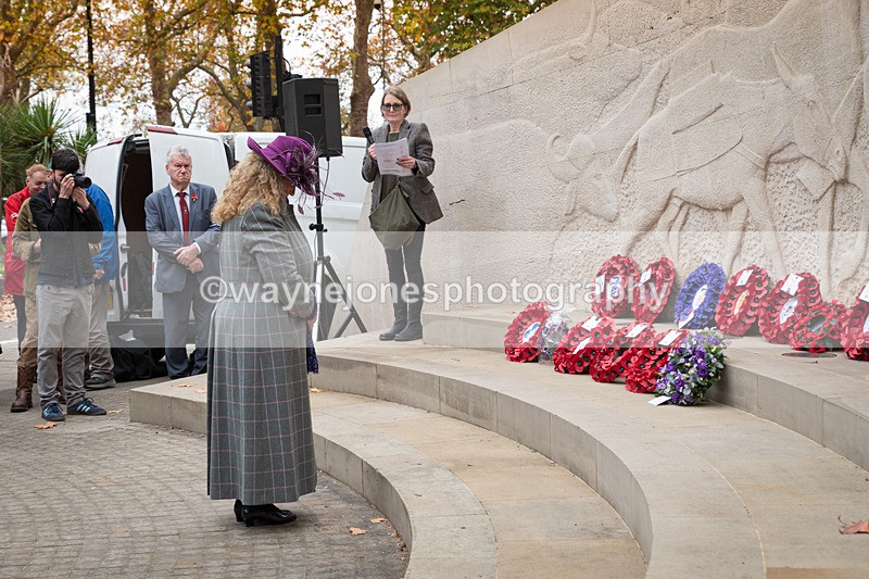 Z62_4650 - Animals In War Memorial 2025 - Park Lane, London