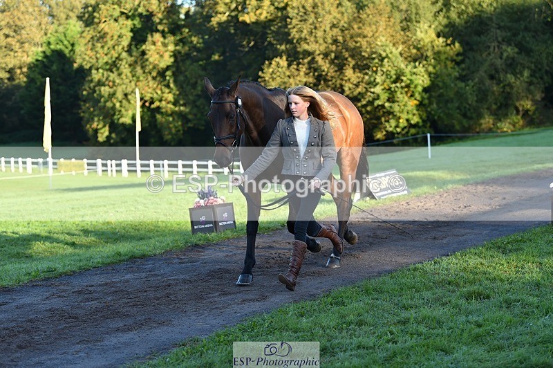 231022-090056-21507 - 658-DANCING.PADDE-Fenella.Redvers-TrotUp+SJ