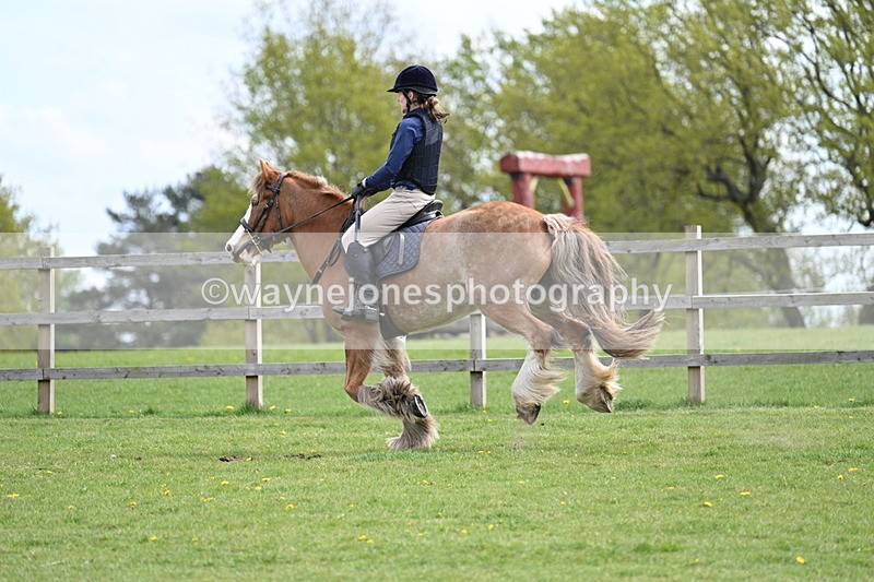 WJ7_6377 - 60cm Time 11:12 to 11:36