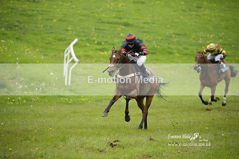 PtP 020522 140 - Mollington Races Point-to-Point 02/05/22