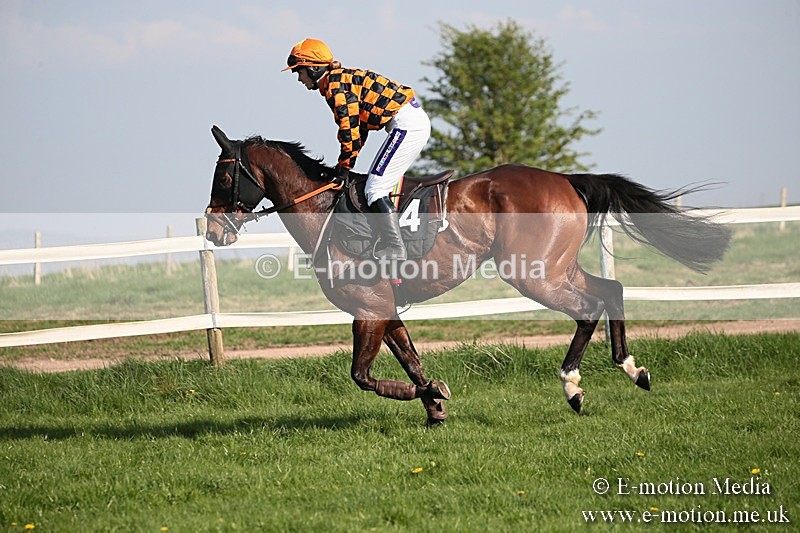 PtP 210418 478 - South & West Wilts Point-to-Point Larkhill 21/04/18