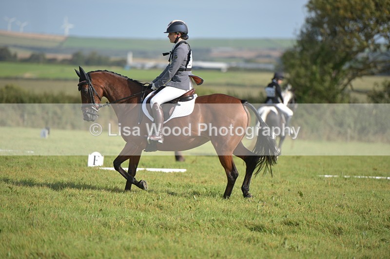 RAY_7563 - Class 2B: Trekenning Open: Dressage