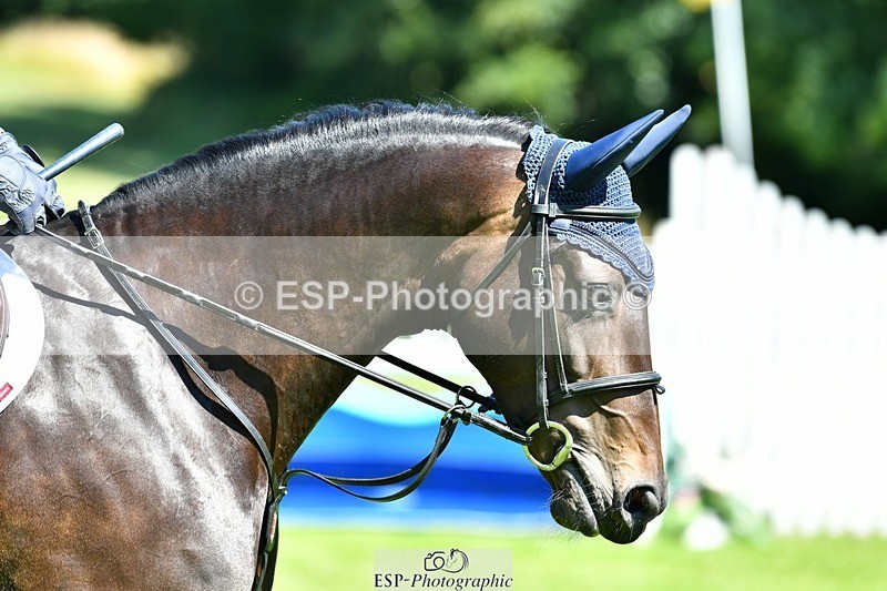 230707-105438-06525_Cls 12 Foxhunter  120m Open - 075-680-9230