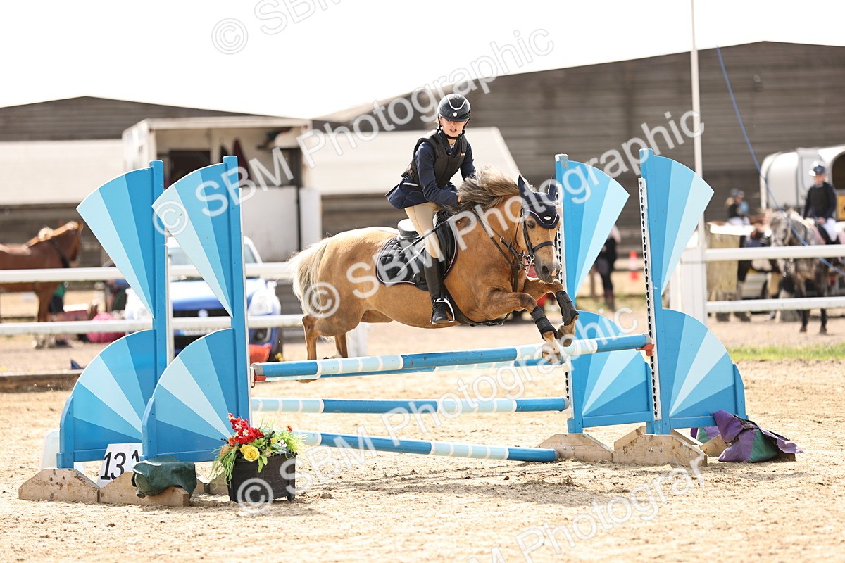 SBM_006642 - Class 1 - 70cm showjumping