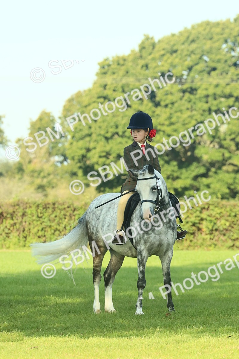 SBM_59174 - S38 - Starters Ridden Showing