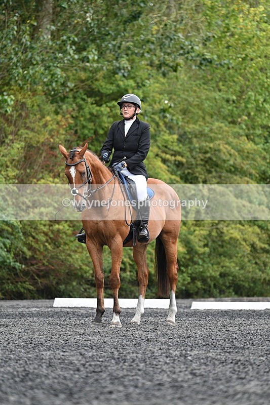 WJ7_5686 - Time 10:25 to 10:54