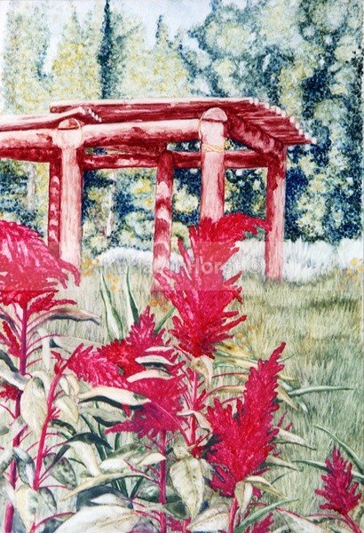 Amaranth - Original Art