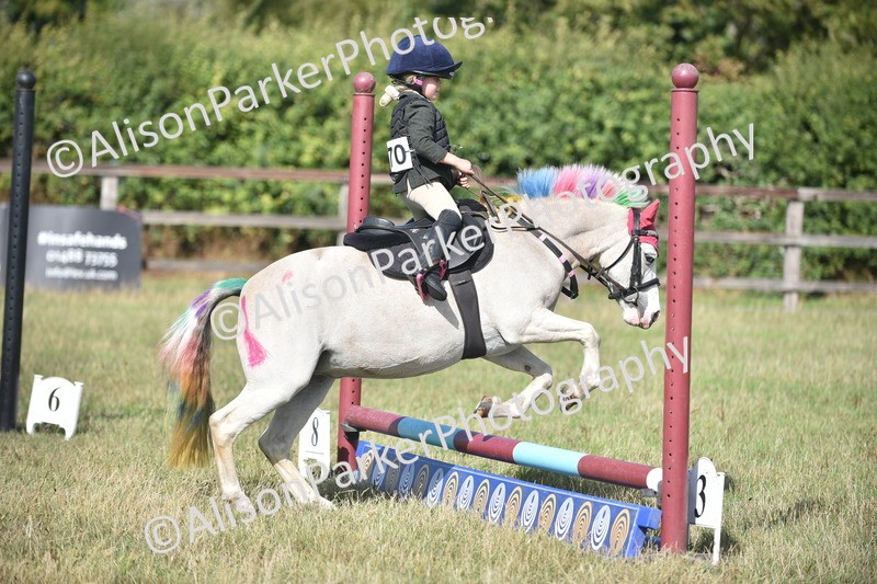 20260906-0975 - Class 7 - Absolute Novice Jumping 35cm