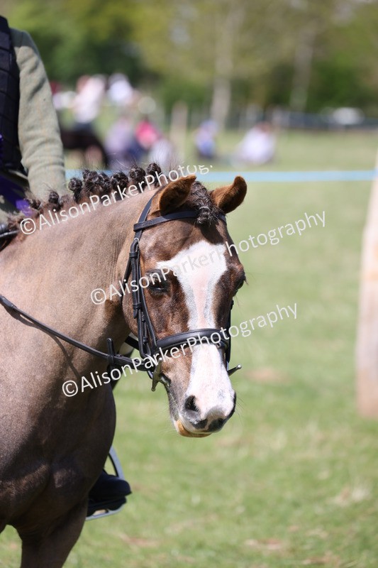 20250427-3338 - Small Pony Championship