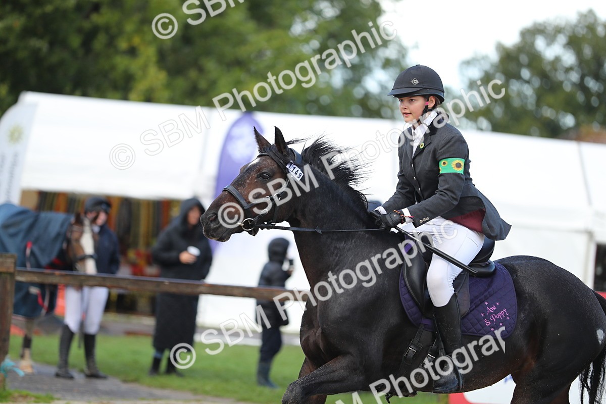 SBM_37278 - J20 - Junior Horse 50cm Championship