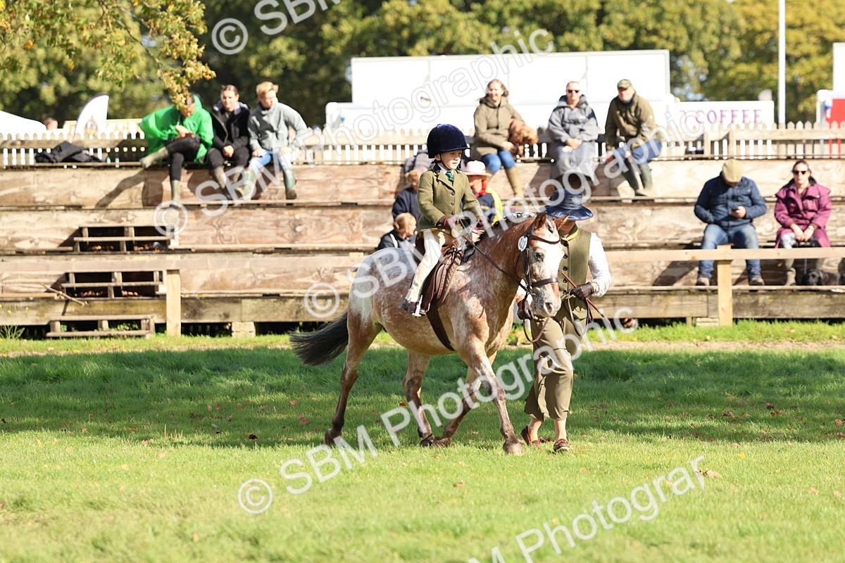 SBM_47736 - S28 - Veteran Ridden