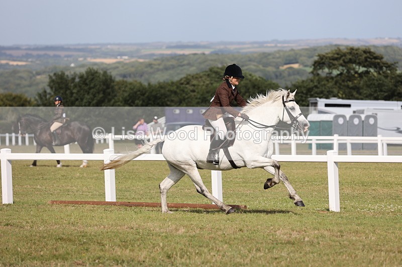 JPP_2925 - Class 20: Working Hunter 70cm