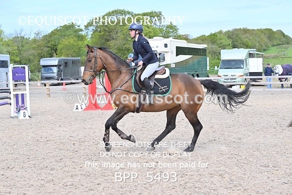 BPP_5493 - CLASS 4  BritishNovice/ 90cm Open