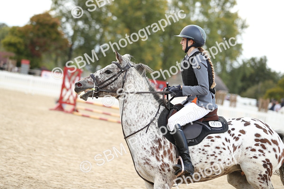 SBM_40280 - J21 - Junior Horse 60cm Championship