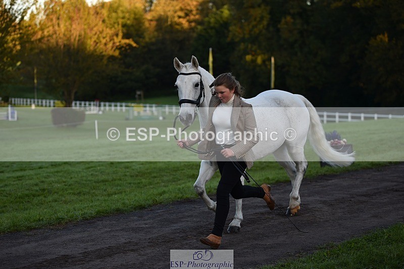 231022-083318-21226 - 659-MACS.BOY-Daisy.Fulton-TrotUp+SJ