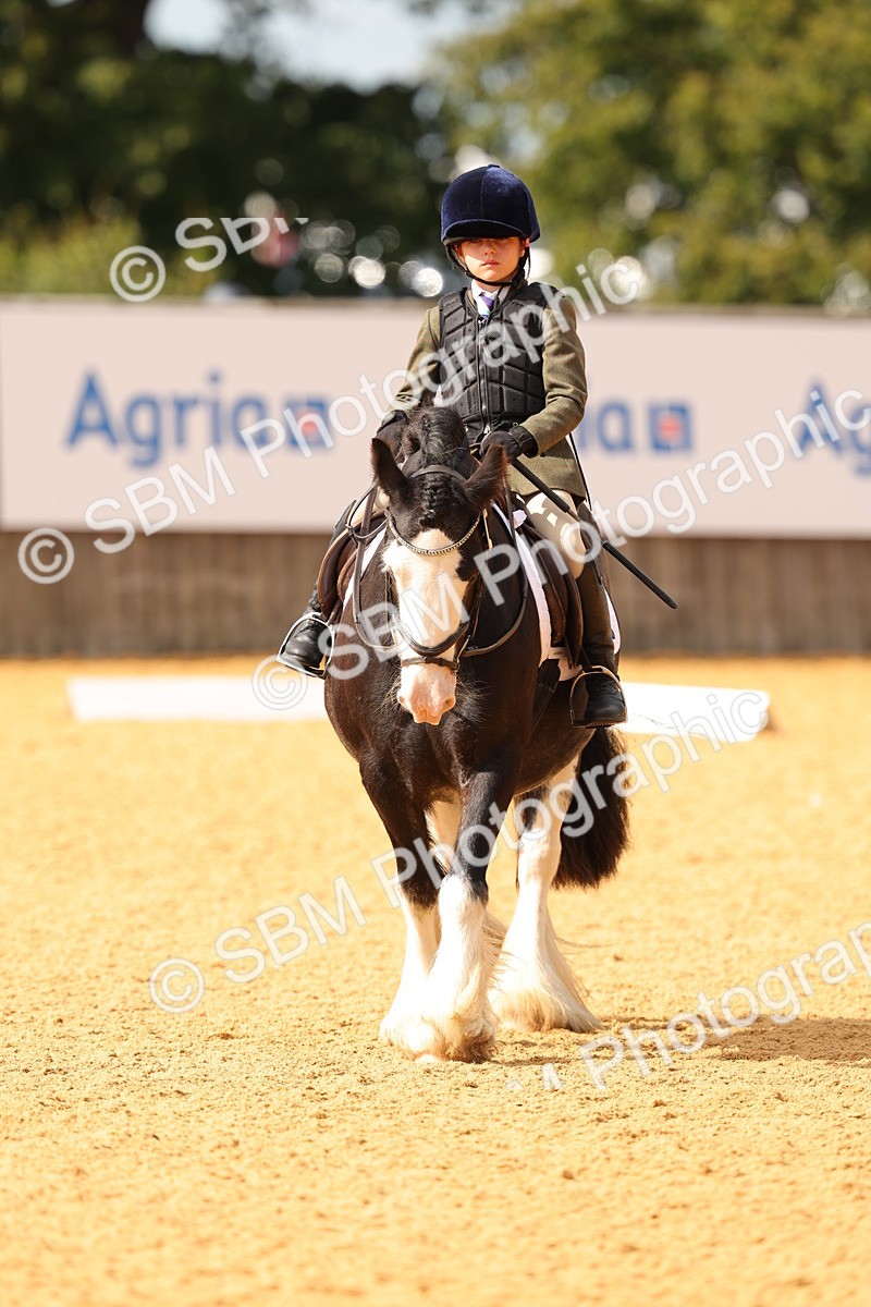 SBM_48230 - D22 - Junior Championship - Intro B