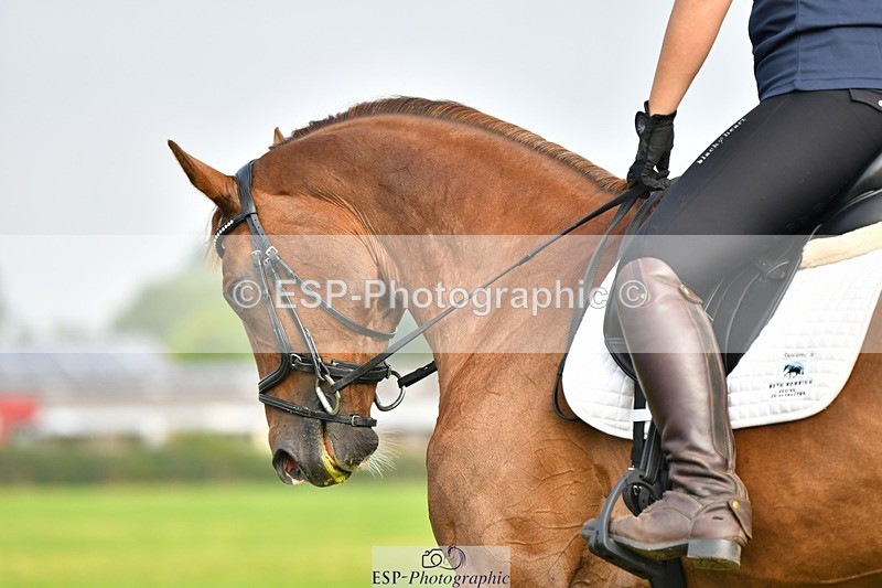 230817-092920-02561 - Abbie's 1st Group - Dressage