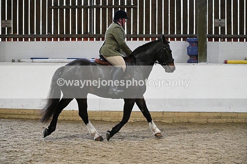 WJ7_3797 - Class 17 Ridden Cob