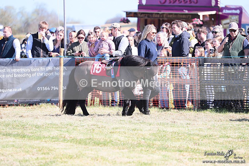 Shet 060426 24 - Shetland Pony Racing Paxford Races Easter Mon 06/04/26