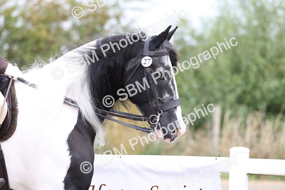 SBM_01397 - Class 51 - Best Turned Out Ridden