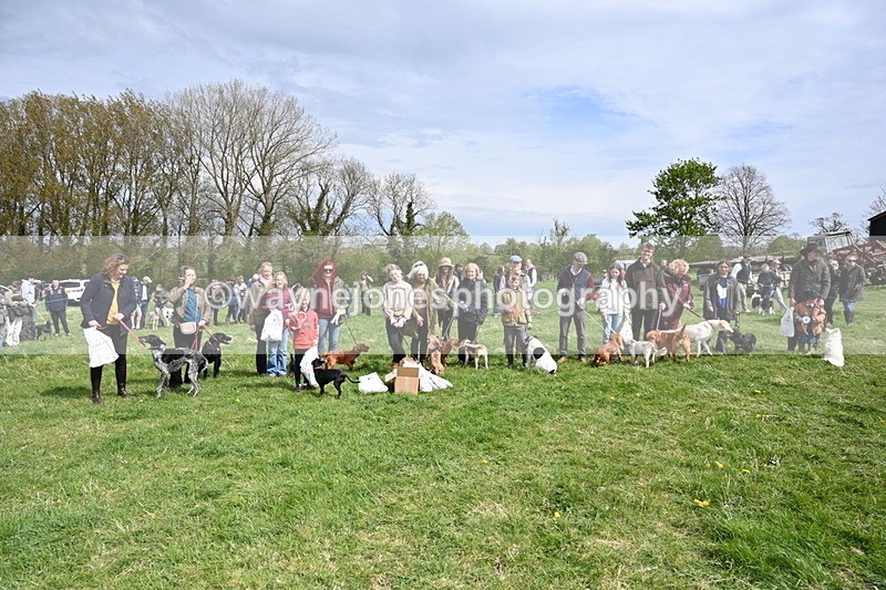 WJ6_8395 - Class 4 Prettiest Bitch