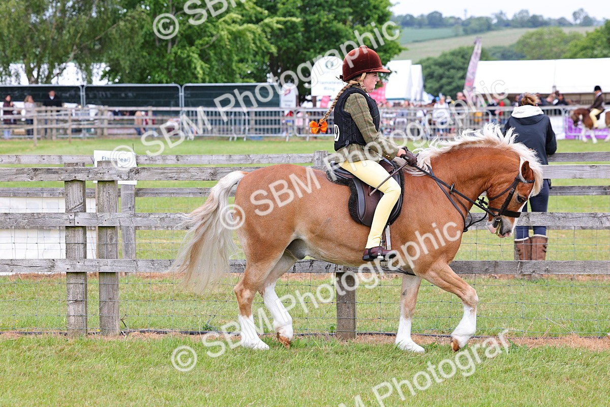 SBM_08543 - Class 42-43 - LIHS BSPS Heritage Working Sports Pony