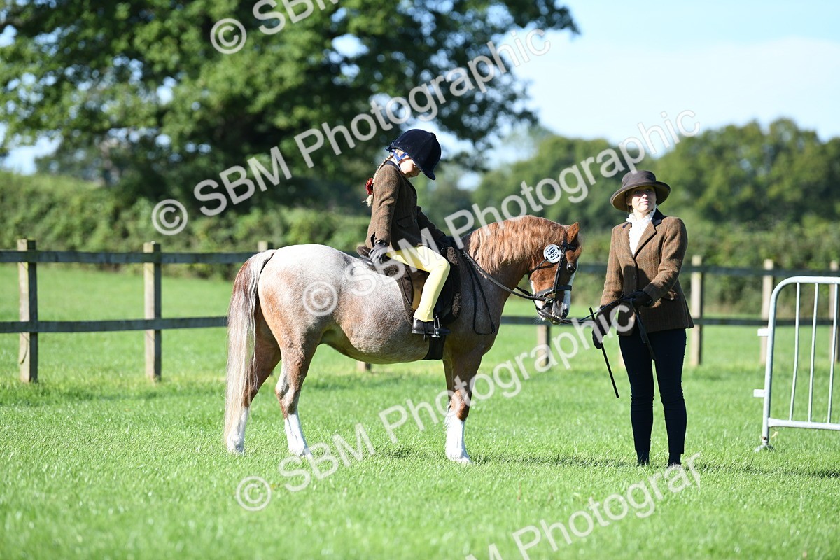 SBM_36708 - S18 - Novice & Newcomers Lead Rein Pony