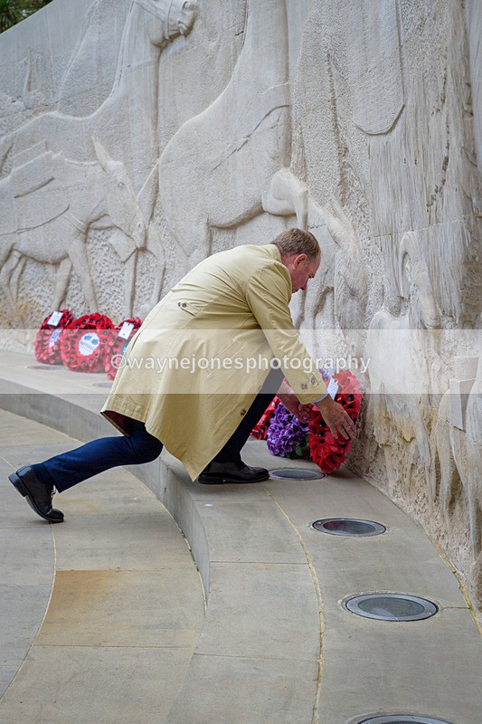 NGP_8224 - 2024 Animals in War Remembrance Gathering