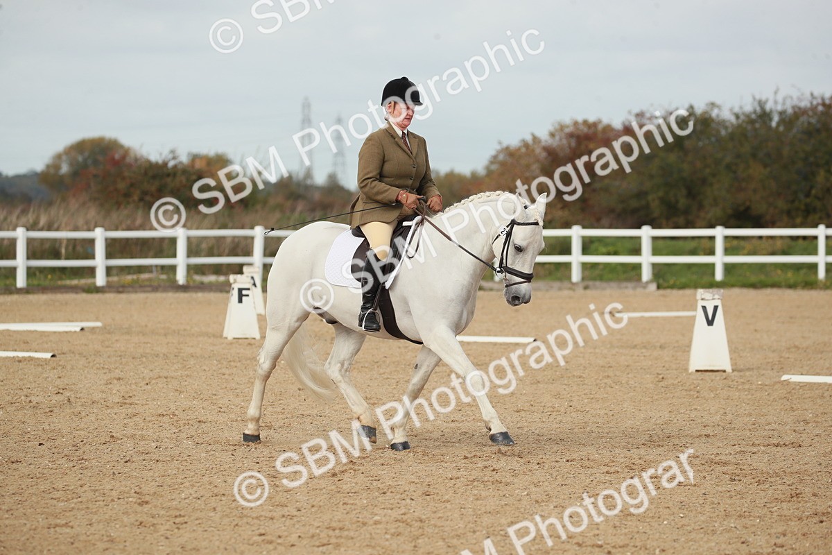 SBM_002242 - Class 6 - Elementary 5
